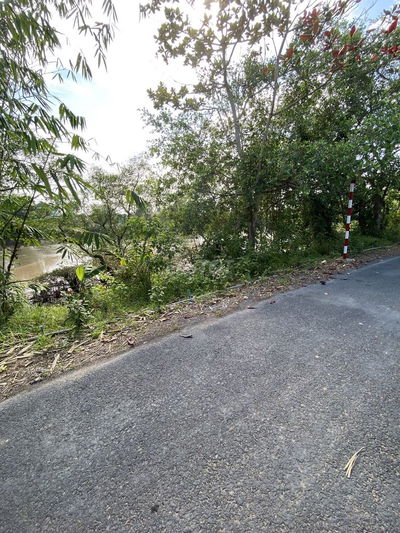 Chính chủ bán đất mặt tiền DH54C Hội Xuân - Cai Lậy