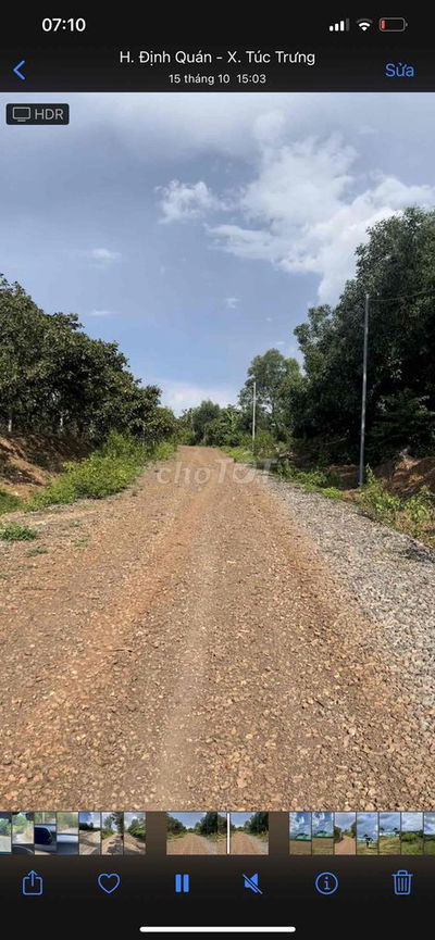 CẦN BÁN ĐẤT TRỒNG CÂY - HỒ TRỊ AN