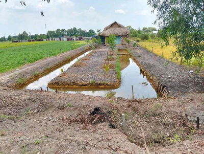 e chính chủ cần bán nhà vườn thới tam thôn hóc môn.