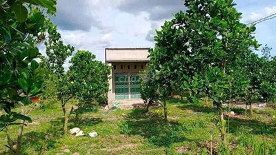 🌿 Không ồn ào, không vội vã – chỉ là bình yên