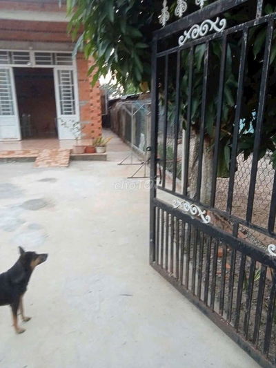Cần Bán gấp nhà rộng rãi