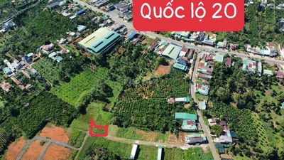 CẦN BÁN ĐẮT SỔ HỒNG FULL THỔ CƯ 113 M2 GẦN TP BẢO LỘC