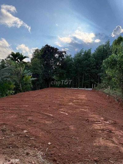 cần bán lô đất vườn diêu phong hoà nhơn