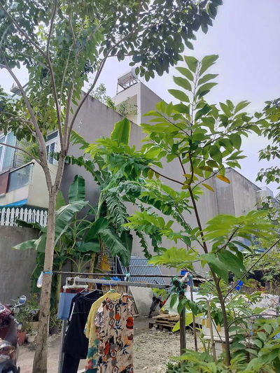 Đất bán shr thạnh xuân q12 cũ