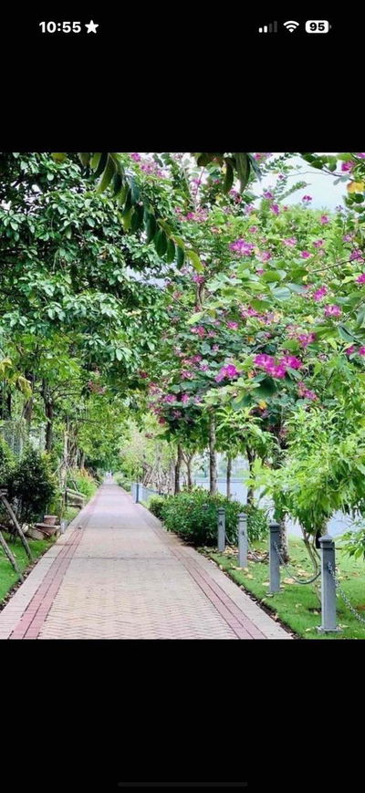 Bán biệt thự liền kề View sông