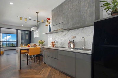 Cho Thuê Căn Hộ  Khu Vực Sơn Trà