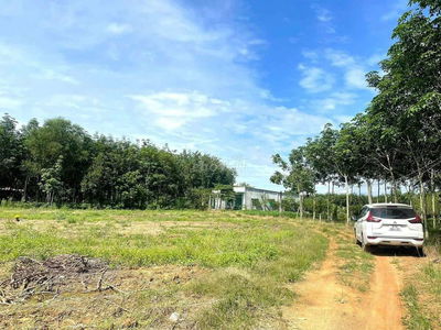 BÁN GẤP HƠN 3 SÀO ĐẤT MINH HÒA, TP.HCM GIÁ NGỘP