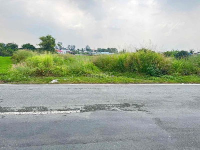 BÁN GẤP 2000M2 THỔ CƯ MT Đ830 MỸ LỆ, CẦN ĐƯỚC