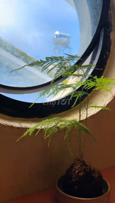 Phòng áp mái siêu chill trong căn biệt thự sân vườn