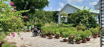 🌿 BÁN NHÀ VƯỜN SINH THÁI 10.000m² SẴN NHÀ LỚN - ĐƯỜNG NHỰA CỰC ĐẸP, ĐN