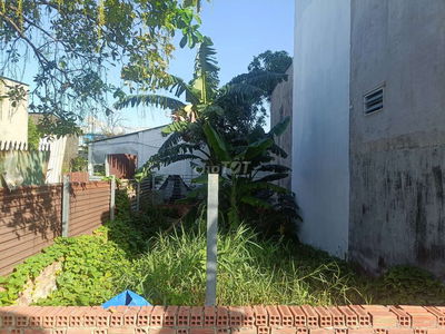 Đất trồng cây hàng năm 5x12 sẹc ngắn Phạm Thị Giây