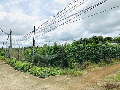 💥Đất rộng thổ cư 2 mặt tiền thôn 8 Cư Ebur - 15 x 30m - chỉ 1.950 tỷ