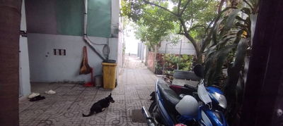 Phòng trọ gần ngã tư Vũng Tàu ( CTY Ajinomoto)