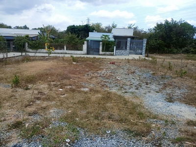 BÁN ĐẤT Chính Chủ 250m2 1ty799 TL SỔ SẴN SANG TÊN CÔNG CHỨNG NGAY