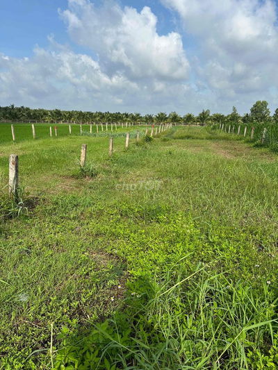 Đất nhà cần bán