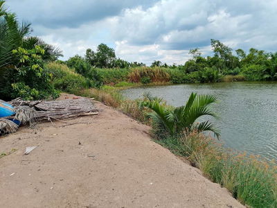 🔥 Đất lớn Cần Giờ Hơn 1.5ha (hơn 15.000m²), giá chỉ 950tr/1000m².