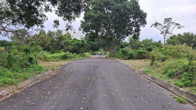 Cần bán lô đất gần Khu Đô Thị Lấn Biển Vinhomes Cần Giờ