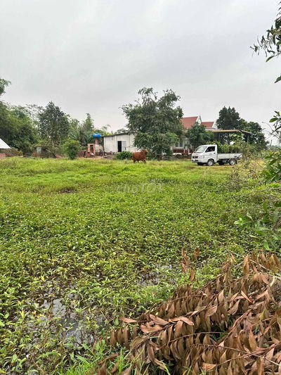 Đất Long An 1124 m2 full thổ cư, kẹt tiền bán 2.6 tỷ còn 1.5 tỷ