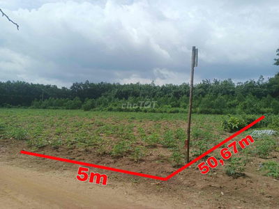 Đất giá tốt diện tích 250m2 tại Tân Lập gần Dt741 Khu Công Nghiệp NĐP