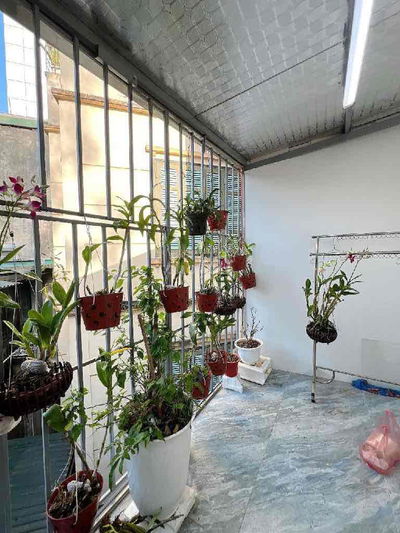 ô tô đỗ cách nhà 10m ngõ 3m phố Quán Thánh Ba Đình 25mx4tầng chỉ 6tỷ95