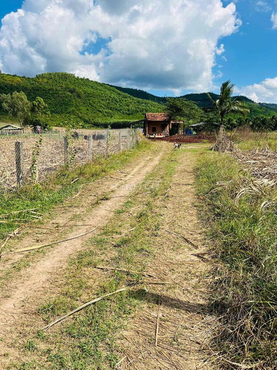 chỉ 129tr có lô đất đẹp vuông vức tại Tân Sơn Ninh Xuân