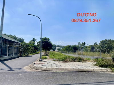 ❤️ LÔ ĐẤT MẶT TIỀN ĐƯỢNG NHỰA ĐẸP