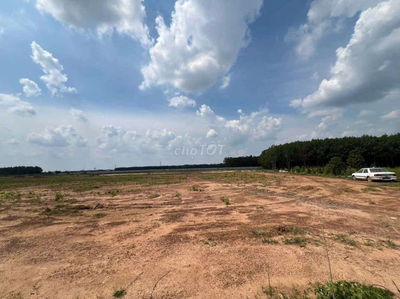 Đất SKC sản xuất kinh doanh 30 năm 1,1ha Giá 17,4 tỷ