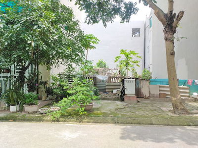 Bán đất đường T Trâu Quỳ, Gia Lâm