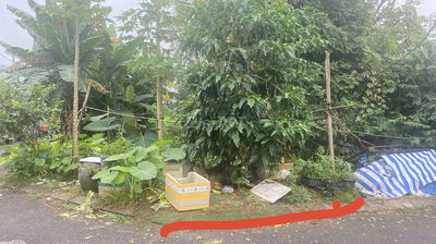 BÁN LÔ ĐẤT GÓC ĐẸP NGUYỄN XIỂN, 4,7x15M, XE HƠI THÔNG, Q9, 3,6 TỶ