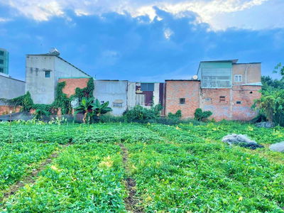 💥 LÔ ĐẤT VÀNG ĐỂ ĐẦU TƯ, Ở_ GẦN CHỢ GẤU, NHÀ THỜ TÂN ĐÔNG_GIÁP QUẬN 12