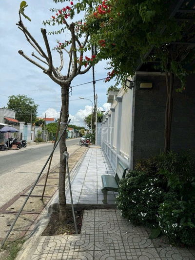 Đất thổ cư Tân Thông Hôi, Củ Chi, DT: 21x40 giá 17,5 tỷ