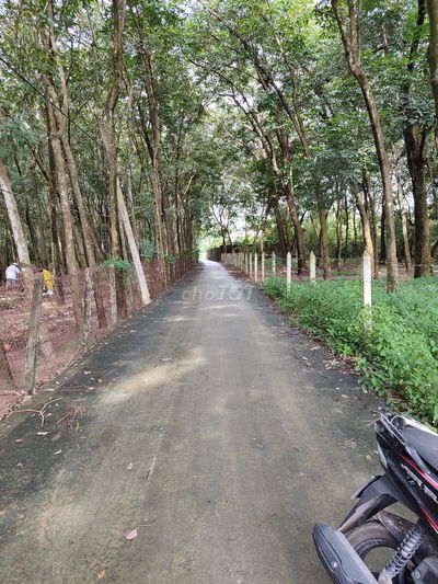 Đất Hòa Lợi gần DH602, dt 2.388m, tc 300m - giá 5.5 tỷ