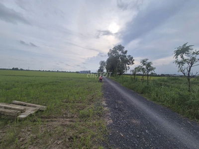 390Triệu ngang 5 dài 55m, có 100 thổ , Bình Tân, Gò Công Tây,TG