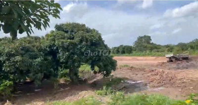 CHÍNH CHỦ BÁN ĐẤT CHÂU THÀNH, ĐỒNG THÁP - Diện tích: 4.242m2