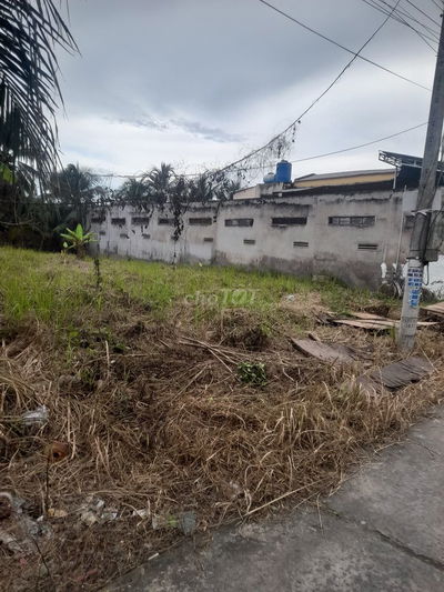 Bán đất đường oto FULL THỔ CƯ GẦN KCN GIAO LONG