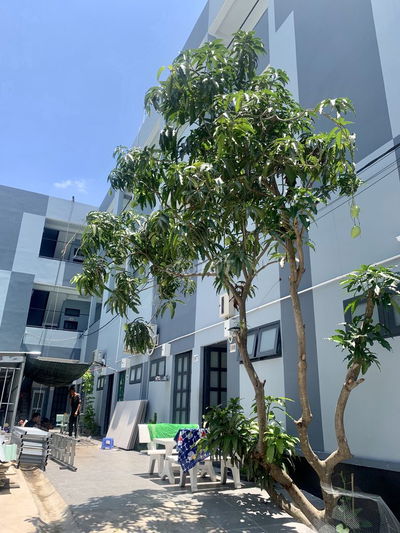 Phòng  đẹp 34-44m2 Nguyễn Bình_LVL