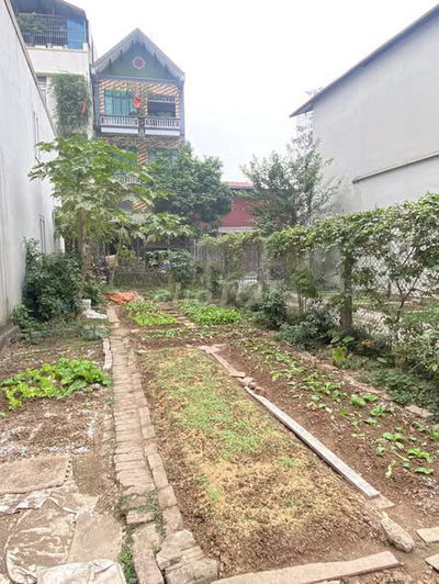 CC đang ở nước ngoài gửi bán mảnh đất sát khu đấu giá Phú Lương