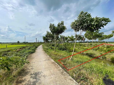 Đất nền thành phố Tân An