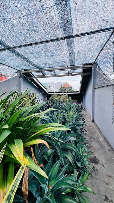 NGỘP!BÁN GẤP NHÀ 3TẦNG NGUYỄN THỊ TẦN_HẺM XE HƠI, KINH DOANH TỐT_12.8T