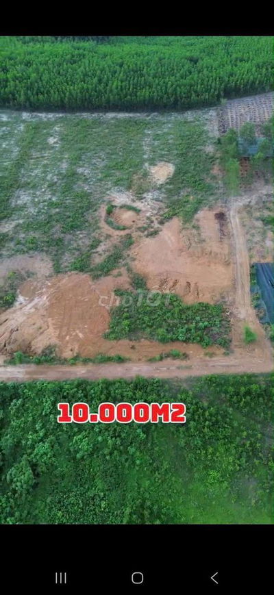 Đất trồng cây lâu năm 10.000m2 bằng phẳng vuông vắn màu mỡ xã hòa phú