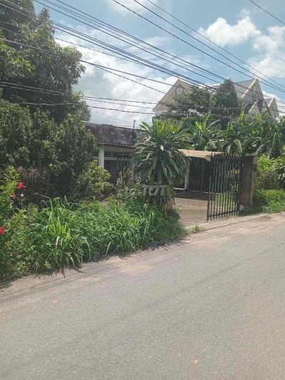 Cần Bán Gấp Căn Nhà Cấp 4 , và đất  Diện tích 350m² Giá Chỉ 3Tỷ4xx