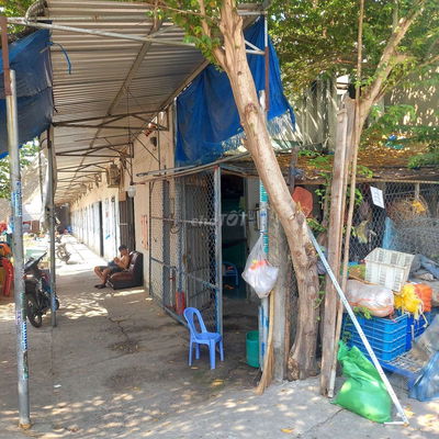 CHÍNH CHỦ CHO THUÊ PHONG