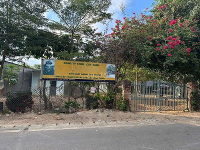 BÁN ĐẤT MẶT TIỀN Ở Thị trấn Cát Tiến, Tỉnh Bình Định