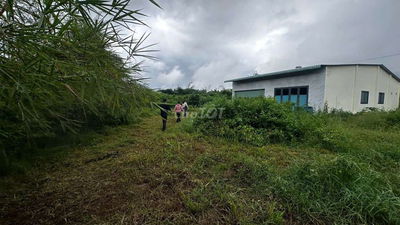 Cho thuê đất🍒 làm kho bãi🍒Tân An Hội Củ Chi