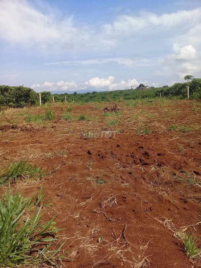 Đất thổ cư 806m2 ủy ban xã Tân Lâm, Di linh.