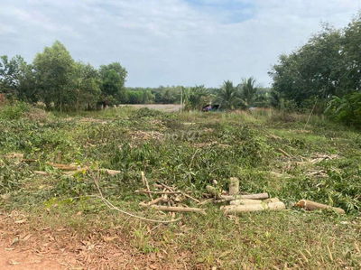 Đất đẹp phân lô giá siêu tốt, Bến Củi, Dương Minh châu, 1.39 t