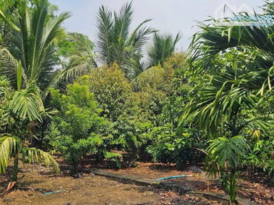 Bán Đất Nhà Vườn Có Sẵn Nhà nhỏ, rộng 2540m2, Giá tổng 600 triệu, Gần Ủy Ban Xã Tân Hệp