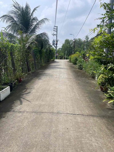 2000m vườn có 300 thổ cư đường xe tải xã tân quý tây bình chánh 11 tỷ