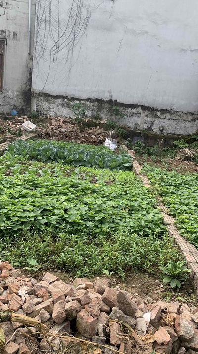 chính chủ bán đất nhị khê