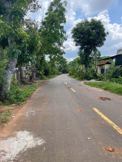 Cần bán lô đất vườn 553m² tại xã Hòa Long, Tp. Bà Rịa - Vũng Tàu.TPHCM